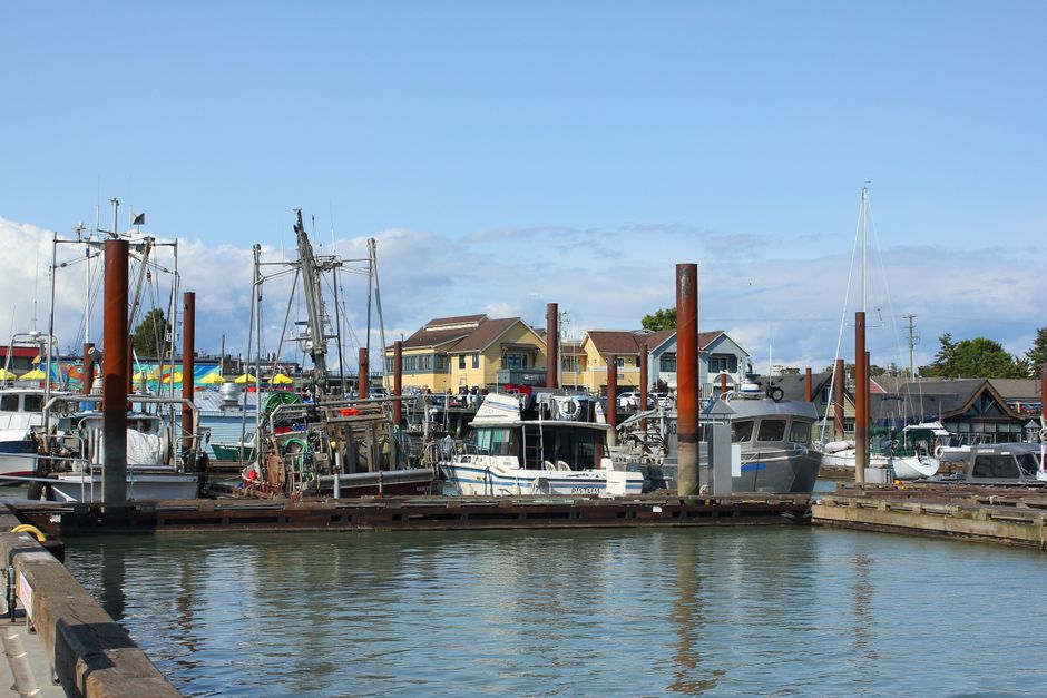 A serene view of boats docked at Steveston Harbour, Richmond, Canada on a clear, sunny day.